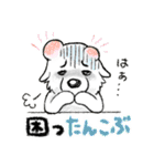 大きな白い犬 ピレネー犬 4【ダジャレ】（個別スタンプ：20）