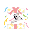 こんにちは 萌萌（個別スタンプ：1）
