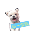 こんにちは 萌萌（個別スタンプ：5）