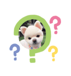 こんにちは 萌萌（個別スタンプ：7）