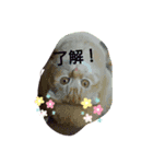 ひまわり日常スタンプ（個別スタンプ：2）
