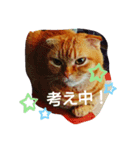 ひまわり日常スタンプ（個別スタンプ：4）
