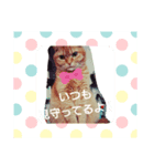ひまわり日常スタンプ（個別スタンプ：7）