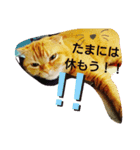 ひまわり日常スタンプ（個別スタンプ：8）