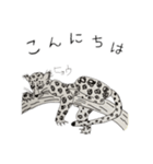 生き物いっぱい SUNバージョン（個別スタンプ：2）