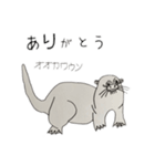 生き物いっぱい SUNバージョン（個別スタンプ：7）