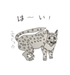 生き物いっぱい SUNバージョン（個別スタンプ：14）