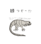 生き物いっぱい SUNバージョン（個別スタンプ：31）