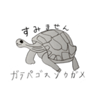 生き物いっぱい SUNバージョン（個別スタンプ：36）