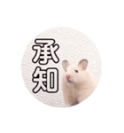 きんくまはむの日常（個別スタンプ：8）