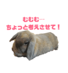 もんちゃん＆チョッチョ（個別スタンプ：6）