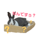 もんちゃん＆チョッチョ（個別スタンプ：8）