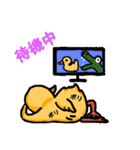 ただ今妻はアヒル中。（個別スタンプ：5）