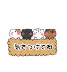 りんごほっぺ ねこーず（個別スタンプ：9）