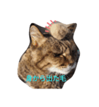 身から出た毛（個別スタンプ：1）