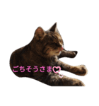 身から出た毛（個別スタンプ：4）