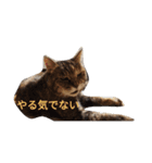 身から出た毛（個別スタンプ：5）