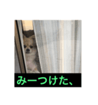 ワンコと過ごす毎日（個別スタンプ：3）