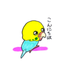 いやされインコ（個別スタンプ：9）