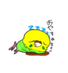 いやされインコ（個別スタンプ：10）