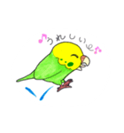 いやされインコ（個別スタンプ：13）