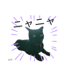 くろ猫ビビのスタンプ（個別スタンプ：4）