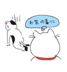 猫ねこ＆クロベエの敬語スタンプ（個別スタンプ：5）