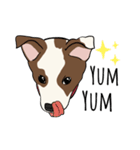 ♡雑種犬モカスタンプ♡English version（個別スタンプ：2）
