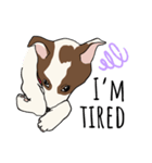 ♡雑種犬モカスタンプ♡English version（個別スタンプ：4）