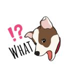 ♡雑種犬モカスタンプ♡English version（個別スタンプ：6）