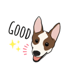 ♡雑種犬モカスタンプ♡English version（個別スタンプ：8）