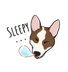 ♡雑種犬モカスタンプ♡English version（個別スタンプ：9）
