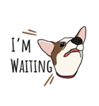♡雑種犬モカスタンプ♡English version（個別スタンプ：12）