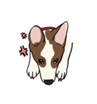♡雑種犬モカスタンプ♡English version（個別スタンプ：13）