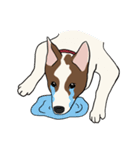 ♡雑種犬モカスタンプ♡English version（個別スタンプ：15）