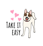 ♡雑種犬モカスタンプ♡English version（個別スタンプ：18）