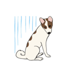 ♡雑種犬モカスタンプ♡English version（個別スタンプ：19）