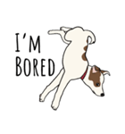 ♡雑種犬モカスタンプ♡English version（個別スタンプ：20）