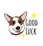 ♡雑種犬モカスタンプ♡English version（個別スタンプ：24）