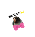 おしゃべりボタンインコ（個別スタンプ：7）