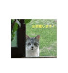 kyoron-1（個別スタンプ：7）