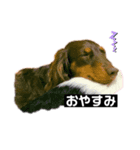 びーちゃんすたんぷ（個別スタンプ：3）