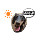 びーちゃんすたんぷ（個別スタンプ：4）