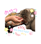Marquis.m.2（個別スタンプ：2）