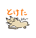 ねこなのす！（個別スタンプ：25）