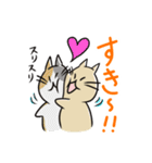 ねこなのす！（個別スタンプ：31）