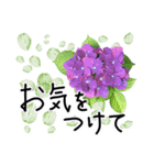6月梅雨の手書きの言葉に紫陽花を添えて（個別スタンプ：25）