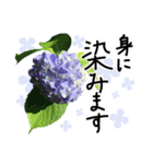 6月梅雨の手書きの言葉に紫陽花を添えて（個別スタンプ：37）