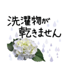 6月梅雨の手書きの言葉に紫陽花を添えて（個別スタンプ：39）