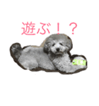 うちの子達天使（個別スタンプ：1）